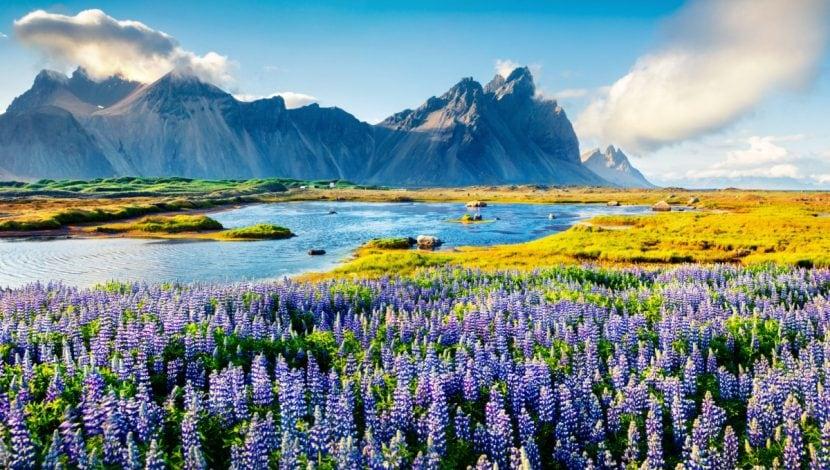 Islandia destinos frescos en verano