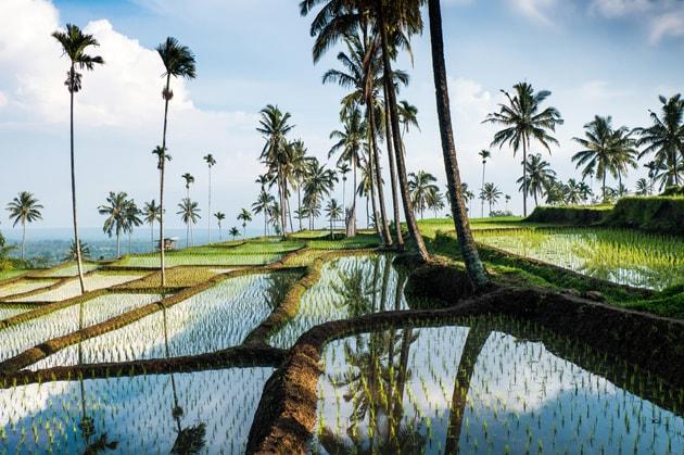 lombok-cosa-vedere