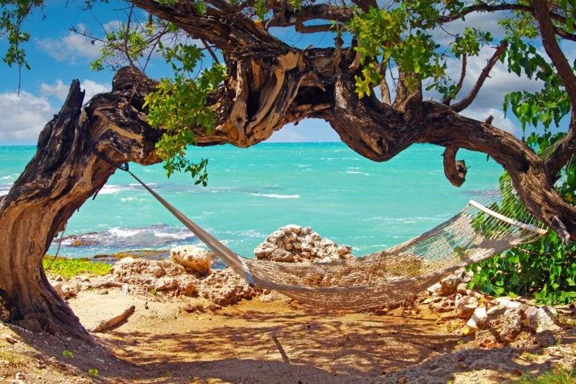 Playa Treasure