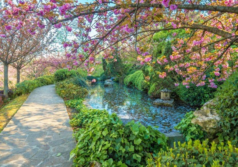 Orto Botanico Roma