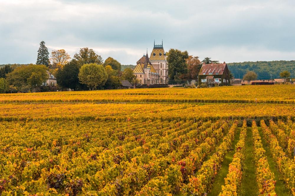 Bourgogne