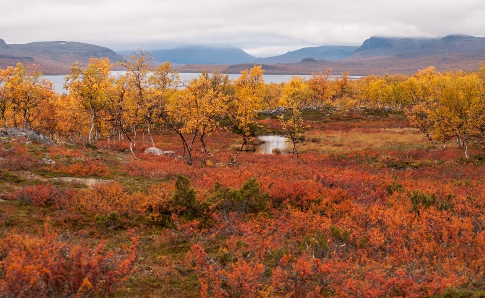 Automne Nord europe