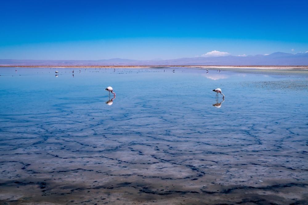 Atacama