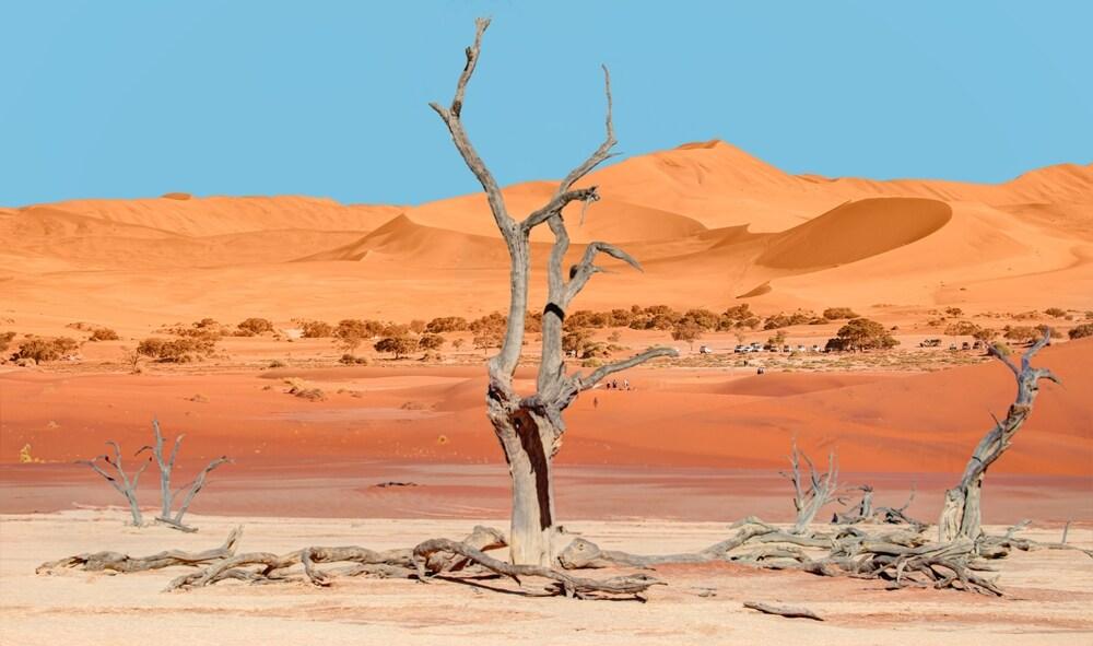 Sossusvlei