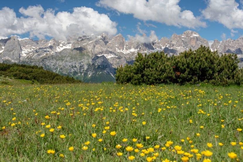 Dolomiti Paganella