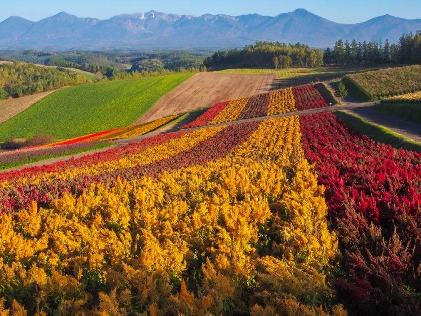 Hokkaido