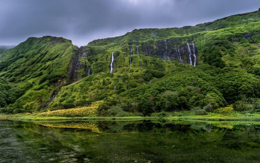 Flores Açores