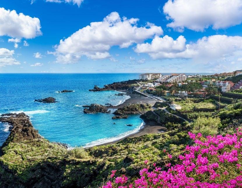 Canaries