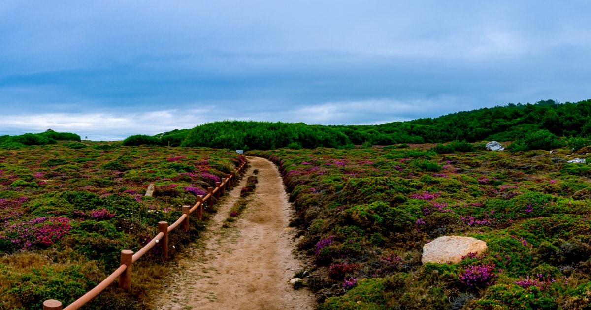 cammino-portoghese-santiago