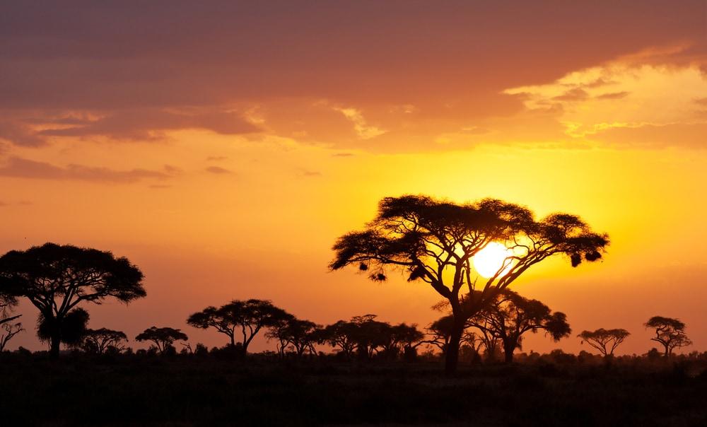 Kenya que voir