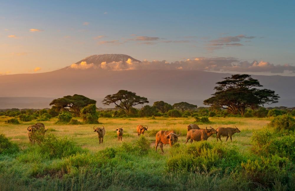 Kenya