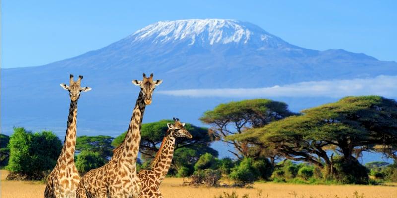 Kenya entre mer et savane
