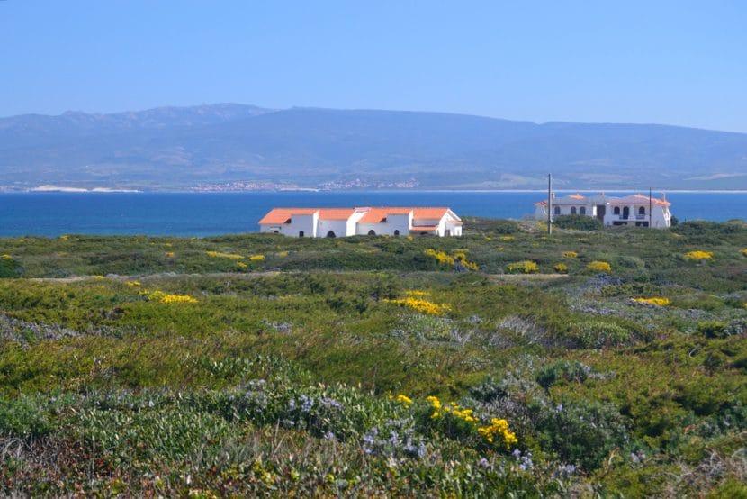 Su Pallosu