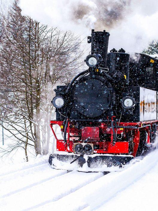 Santa Claus Express : le train qui mène chez le Père Noël existe vraiment