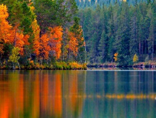 Finlande en automne 2024 : où aller, climat et photos