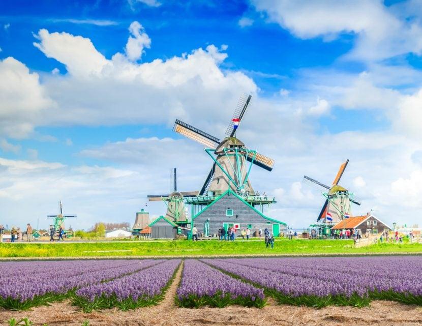 Zaanse Schans