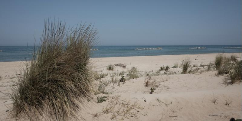 dunas-molise