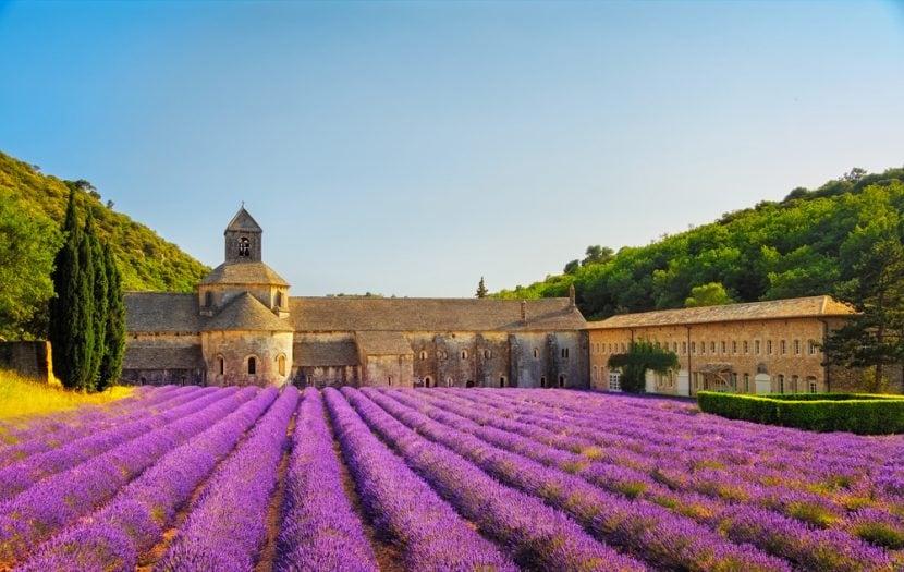 Abbazia di Senanque