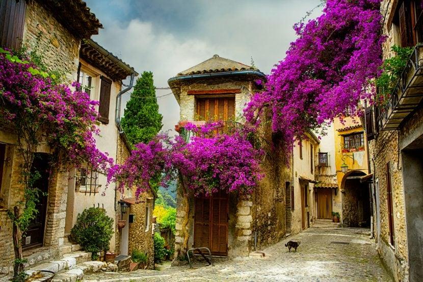 Provence