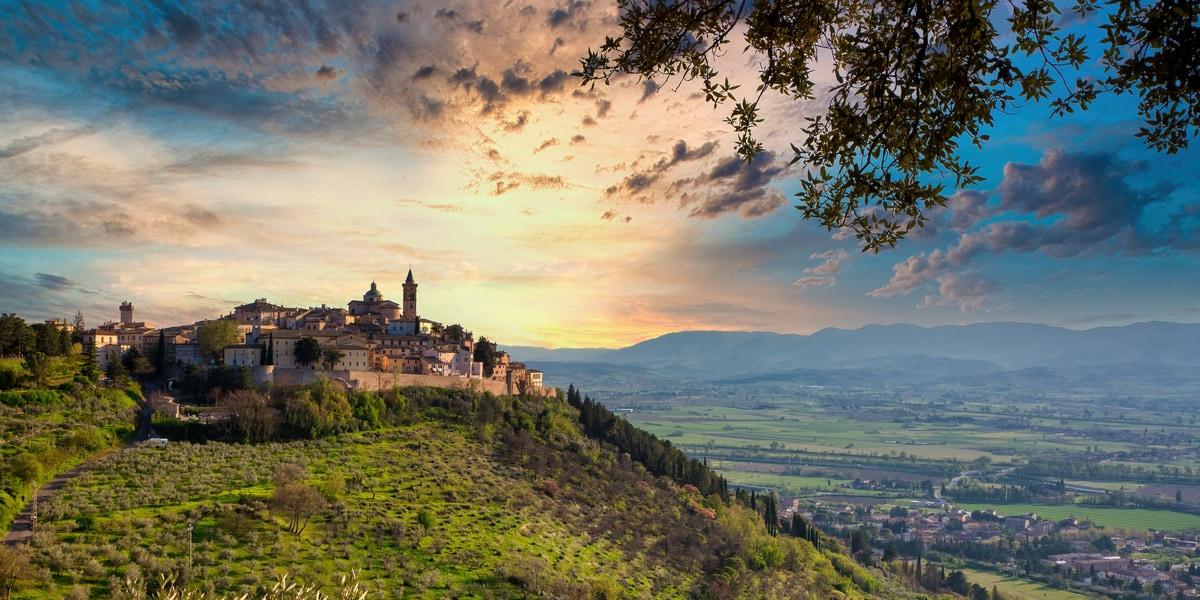 todi