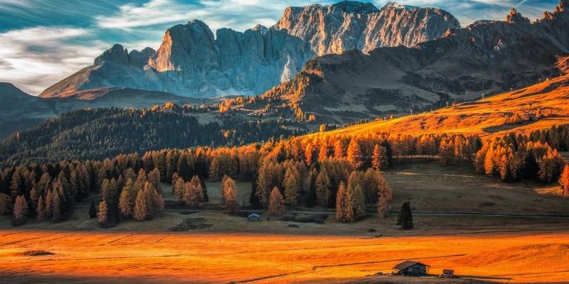 Feuillage en France