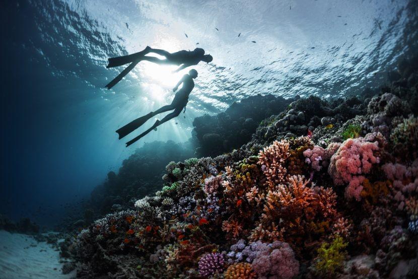 Température de la mer