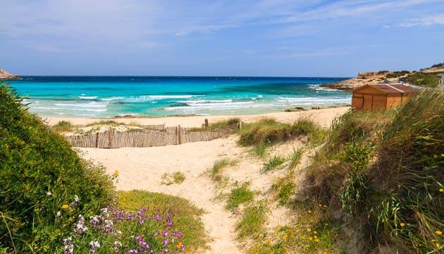 cala-agulla