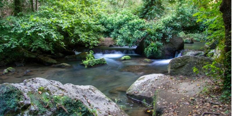 valle-treja