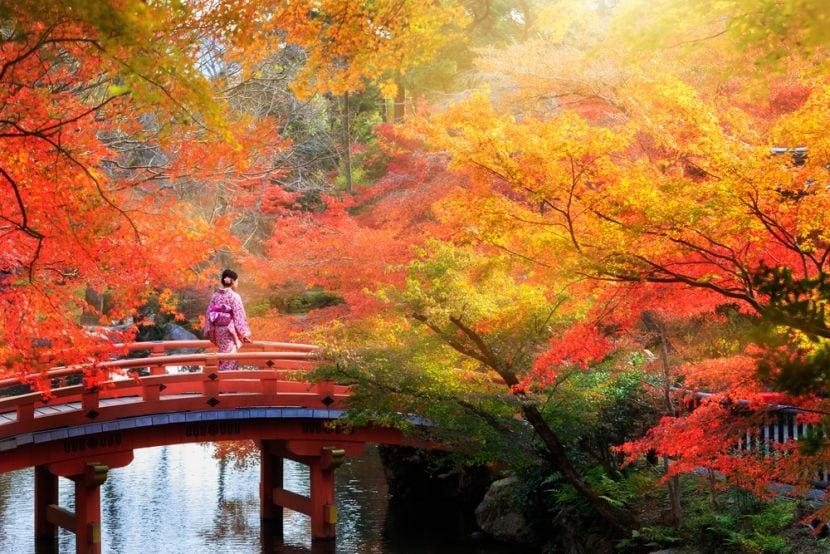 Japon