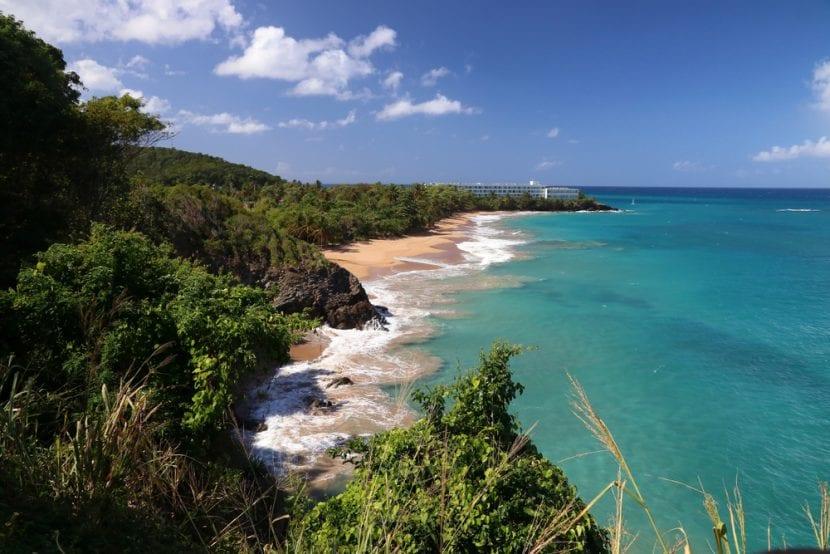 Basse terre