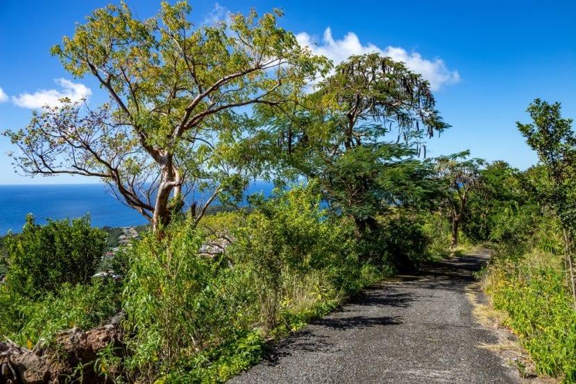 Les Îles de Petite Terre