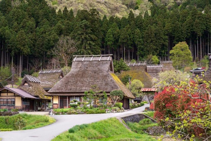 MIYAMA