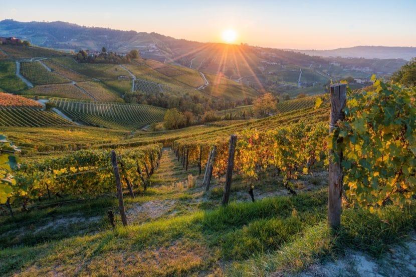 Langhe et Roero