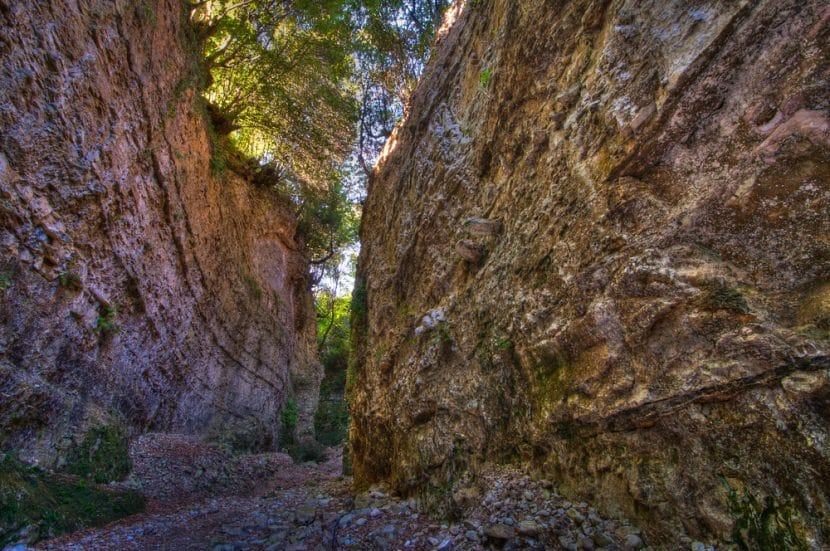Foresta Umbra